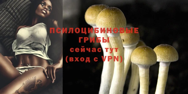 дурь Баксан