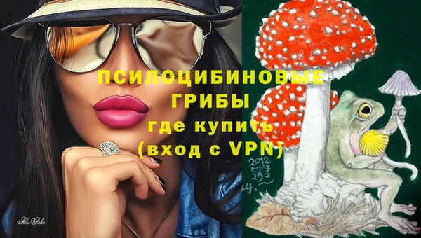 прущая мука Арсеньев